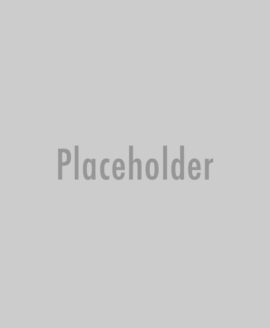 placeholder 11