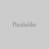 placeholder 28