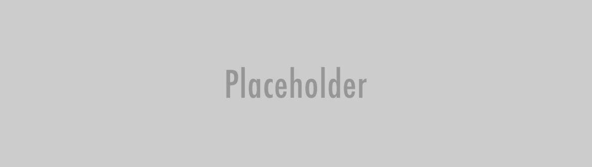 placeholder 29