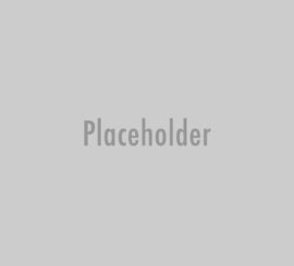placeholder 44