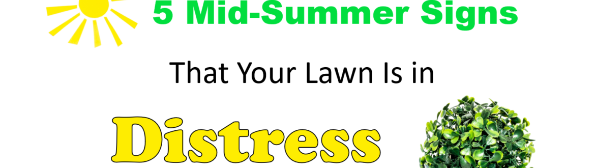 distress Summer Lawn Care