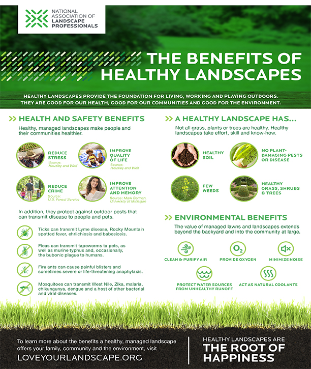 benefits landscaping infographic healthy landscapes