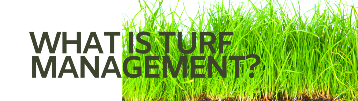 what is turf management turf management
